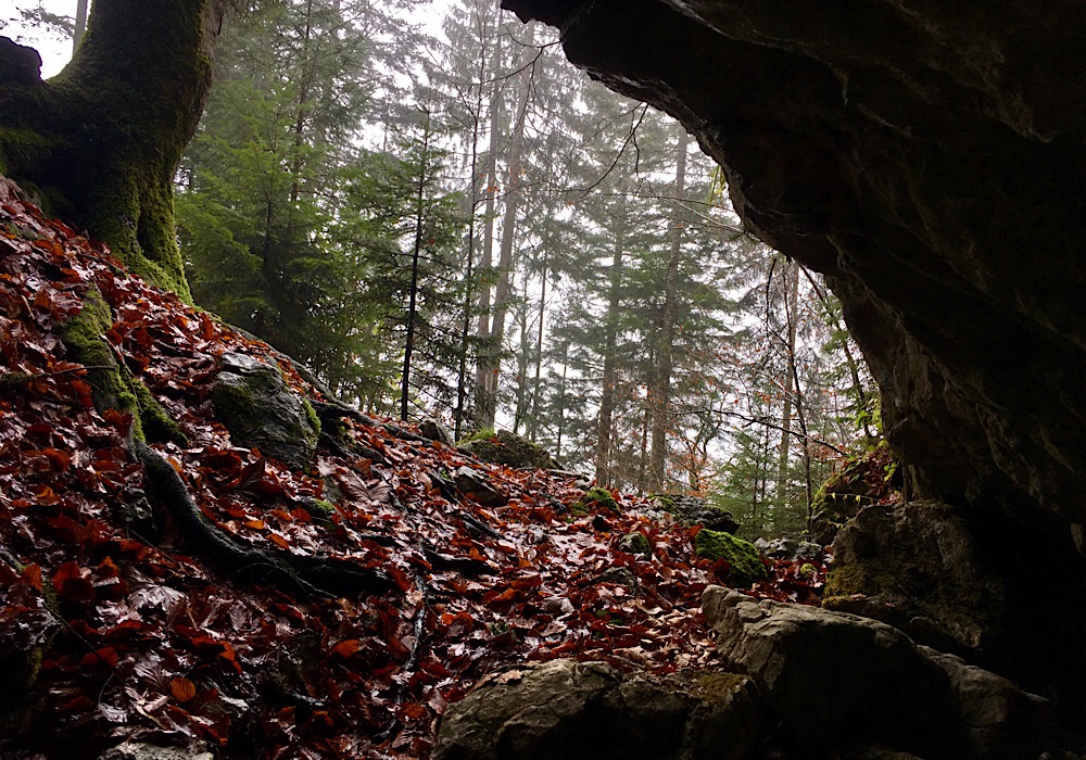Ausblick aus der Höhle am Toleranzweg