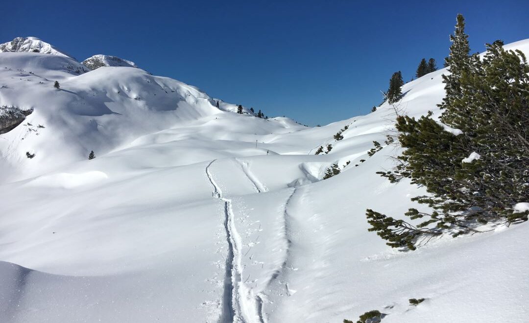 Schneeschuhwandern am Krippenstein