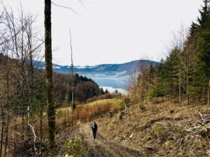 Wachtberg Rundwanderweg