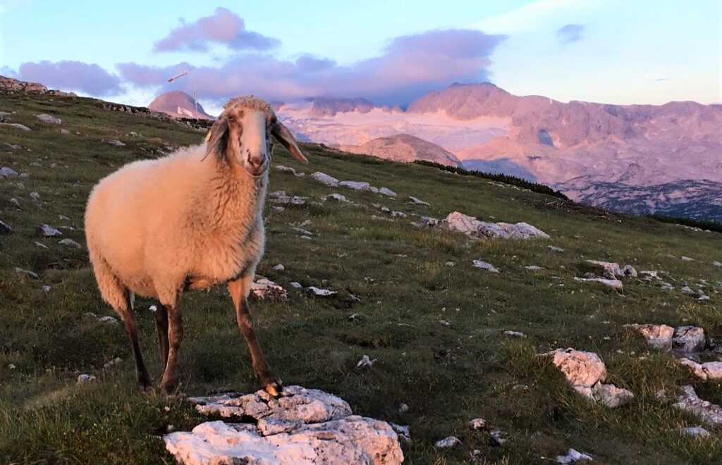 Sonnenaufgang am Krippenstein