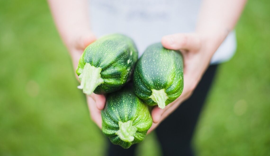 Zucchinis aus dem Garten